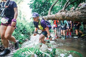 BIB: 
                            <button type="button" onclick="openModal(25466333)" class="btn btn-primary btn-sm float-right btn-popup" data-toggle="modal" data-target=".modal-high-quality">
                        <i class="fas fa-shopping-cart"></i> Add to Cart
                    </button>
                                            <button type="button" onclick="isThisMe(25466333, true)" class="btn btn-success btn-sm float-right btn-popup btn-isme hidden" data-toggle="tooltip" data-placement="bottom" title="นี่คือรูปของคุณใช่ไหม คลิกที่นี่เพื่อเอาเข้าอัลบั้ม">
                        <i class="fas fa-plus"></i> Add to album
                    </button>
                    <button type="button" onclick="isThisMe(25466333, false)" class="btn btn-warning btn-sm float-right btn-popup btn-isnotme hidden">
                        <i class="fas fa-ban"></i> Remove from album
                    </button>